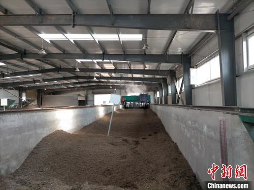 山西太原 園林垃圾資源化再利用，綠廢“變身”科創產品